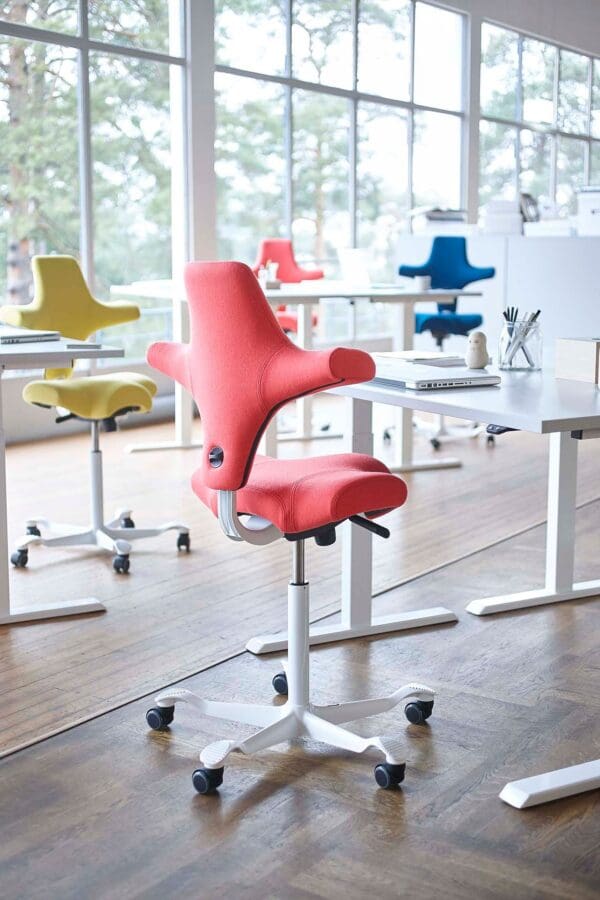 HAG Capisco Office Chairs